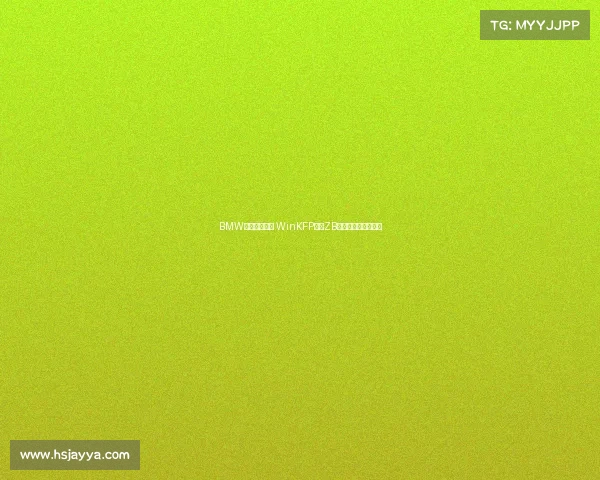 BMW工程师第六集 WinKFP原车ZB编程注意事项与操作